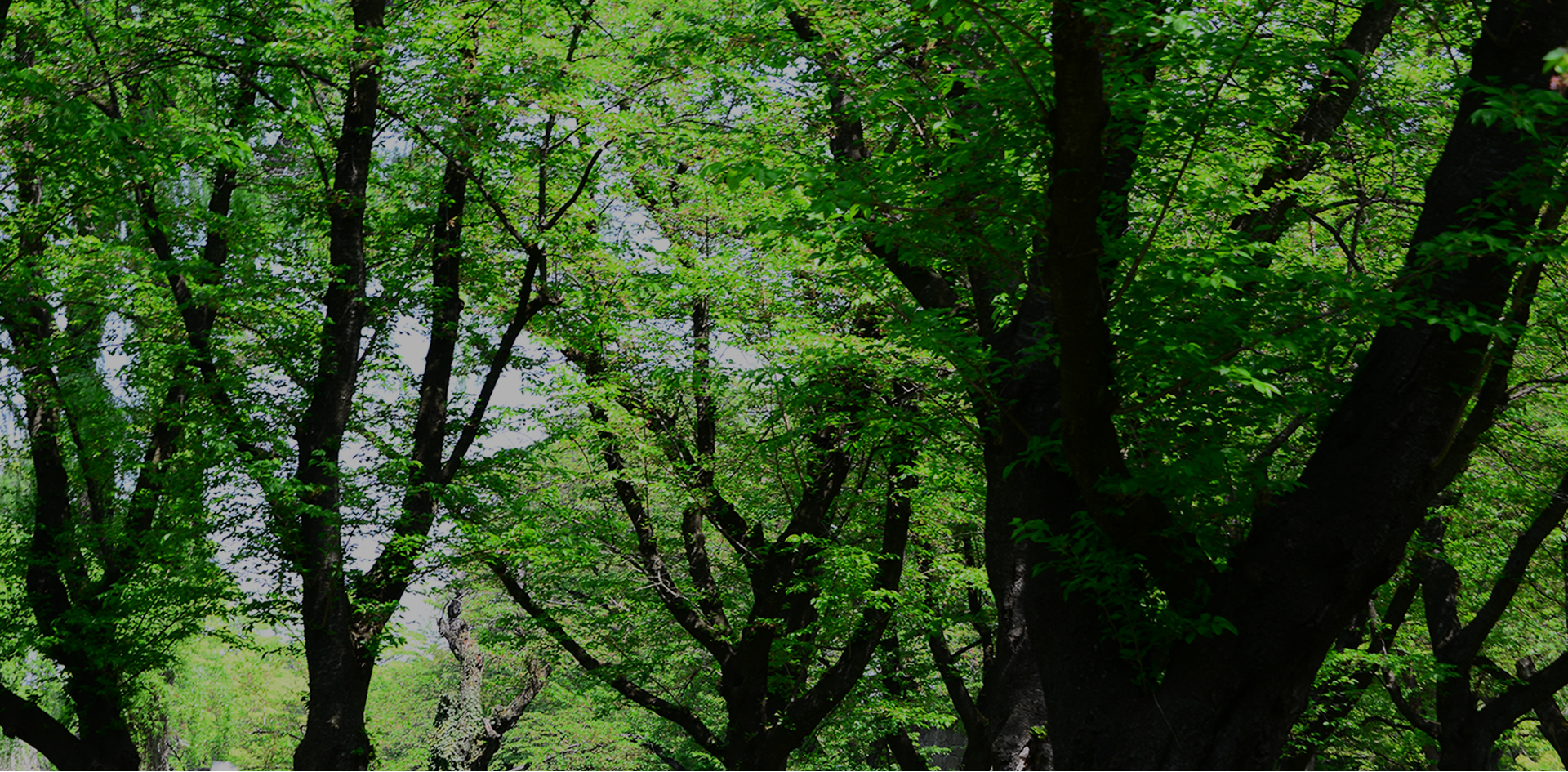 有限会社トータルライフプラン