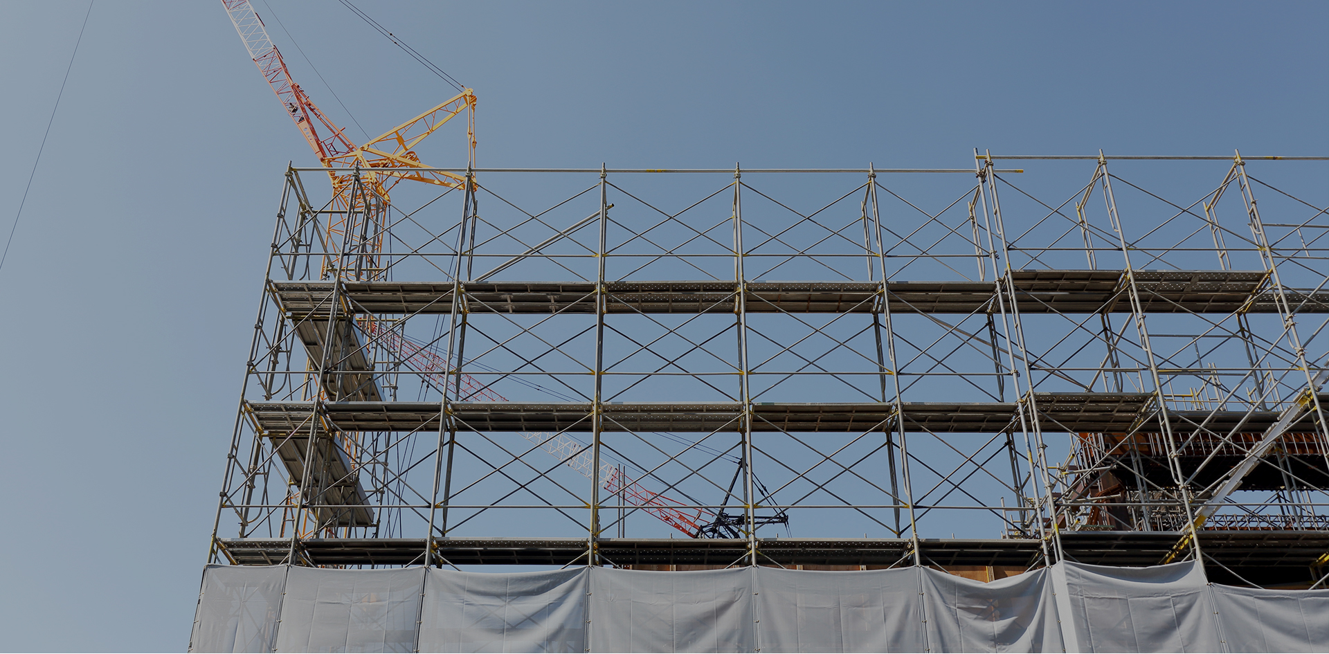 有限会社トータルライフプラン